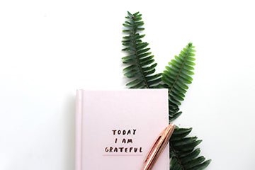 Embracing the Art of Gratitude