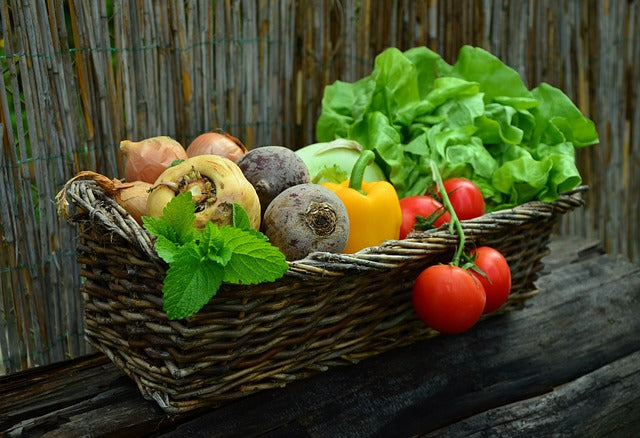 Burn Fat with the Right Foods