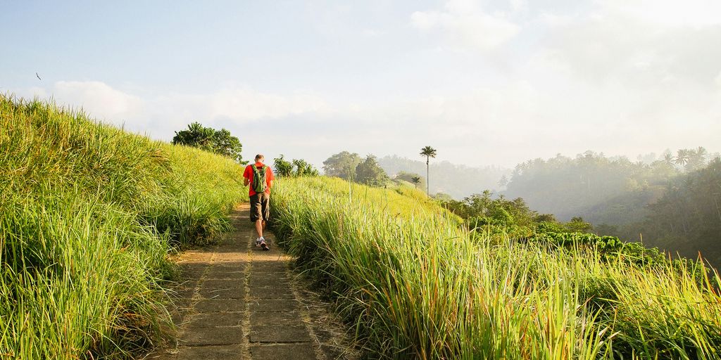 person walking in a road near green grass during daytime