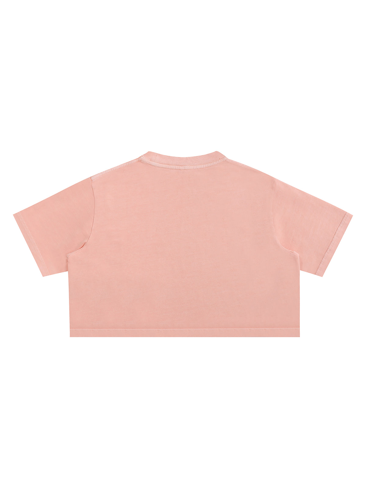 Snow Washed Crop Top