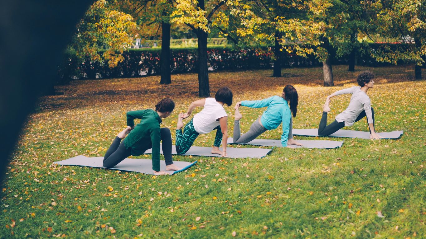 People practicing yoga on mats in a park.