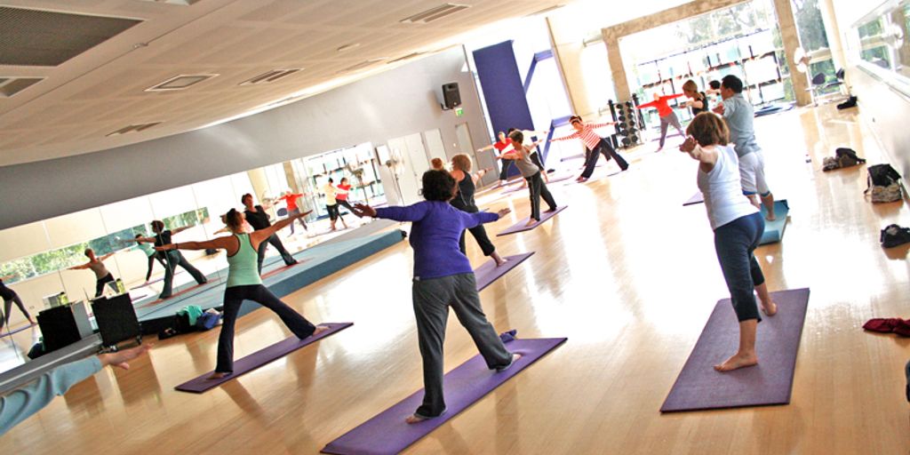 beginner yoga class with mats in a serene studio