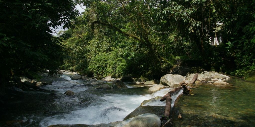 eco-friendly yoga mat in a serene natural setting