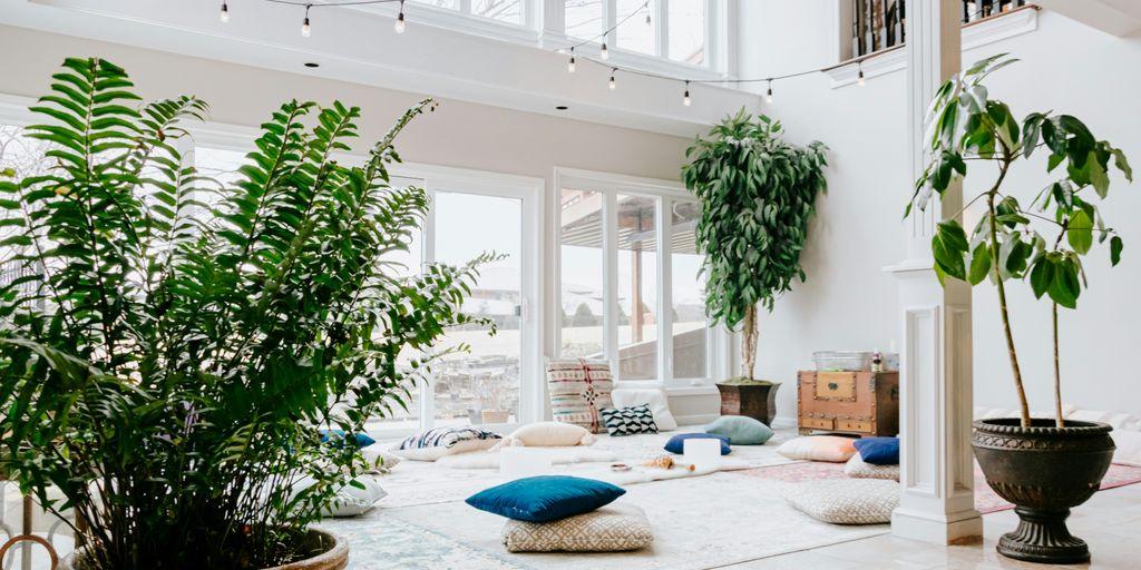 blue swimming pool near green potted plant