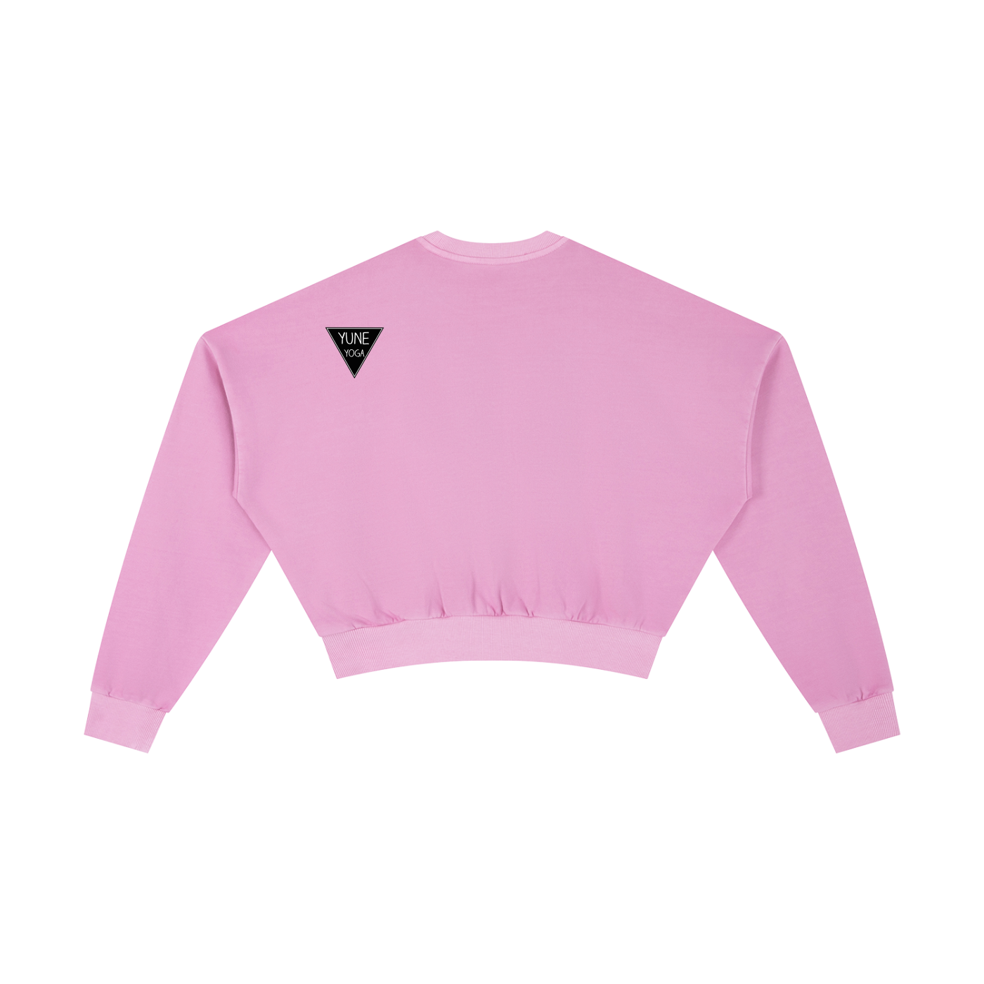 Vintage Washed Cropped Sweatshirt