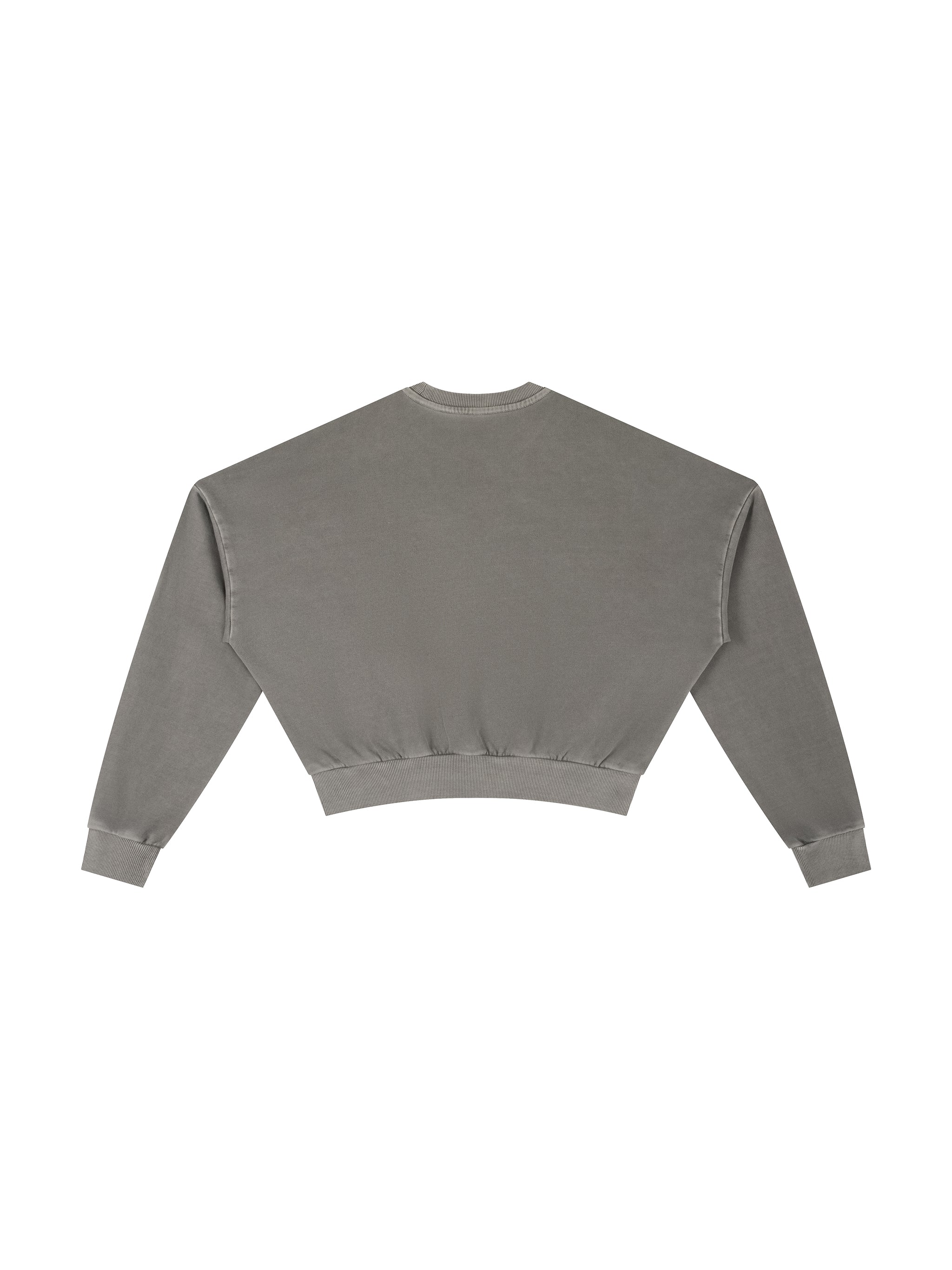 Vintage Washed Cropped Sweatshirt